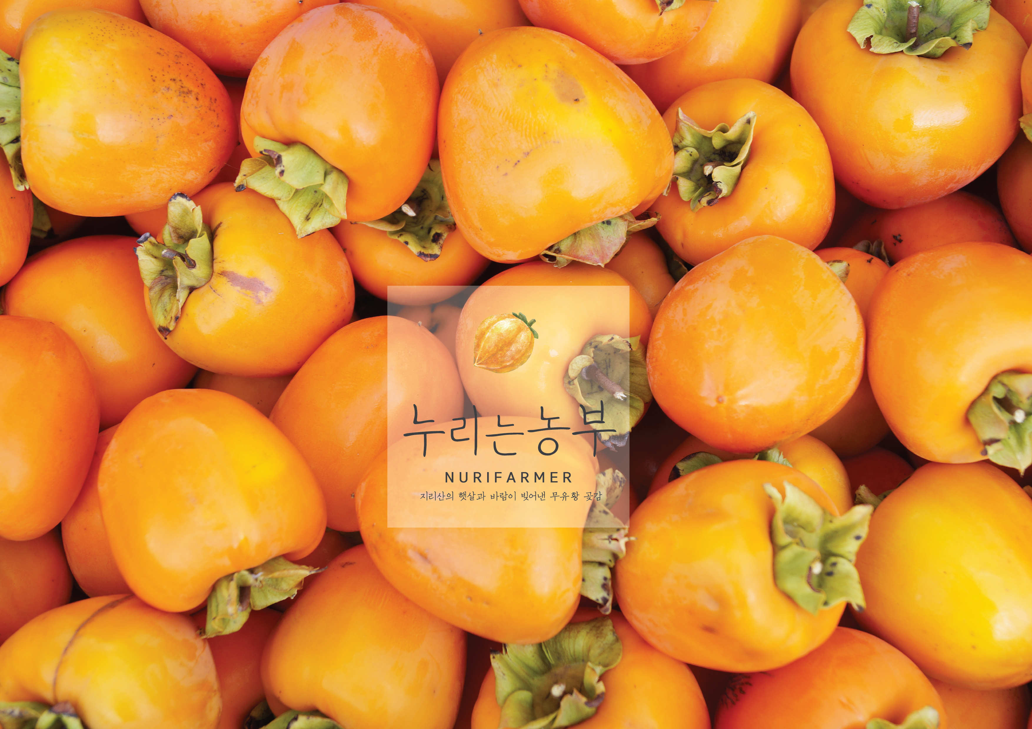 A Day in the Life of Nurifarmer’s Dried Persimmons, Grown in the Winds of Jirisan Mountain