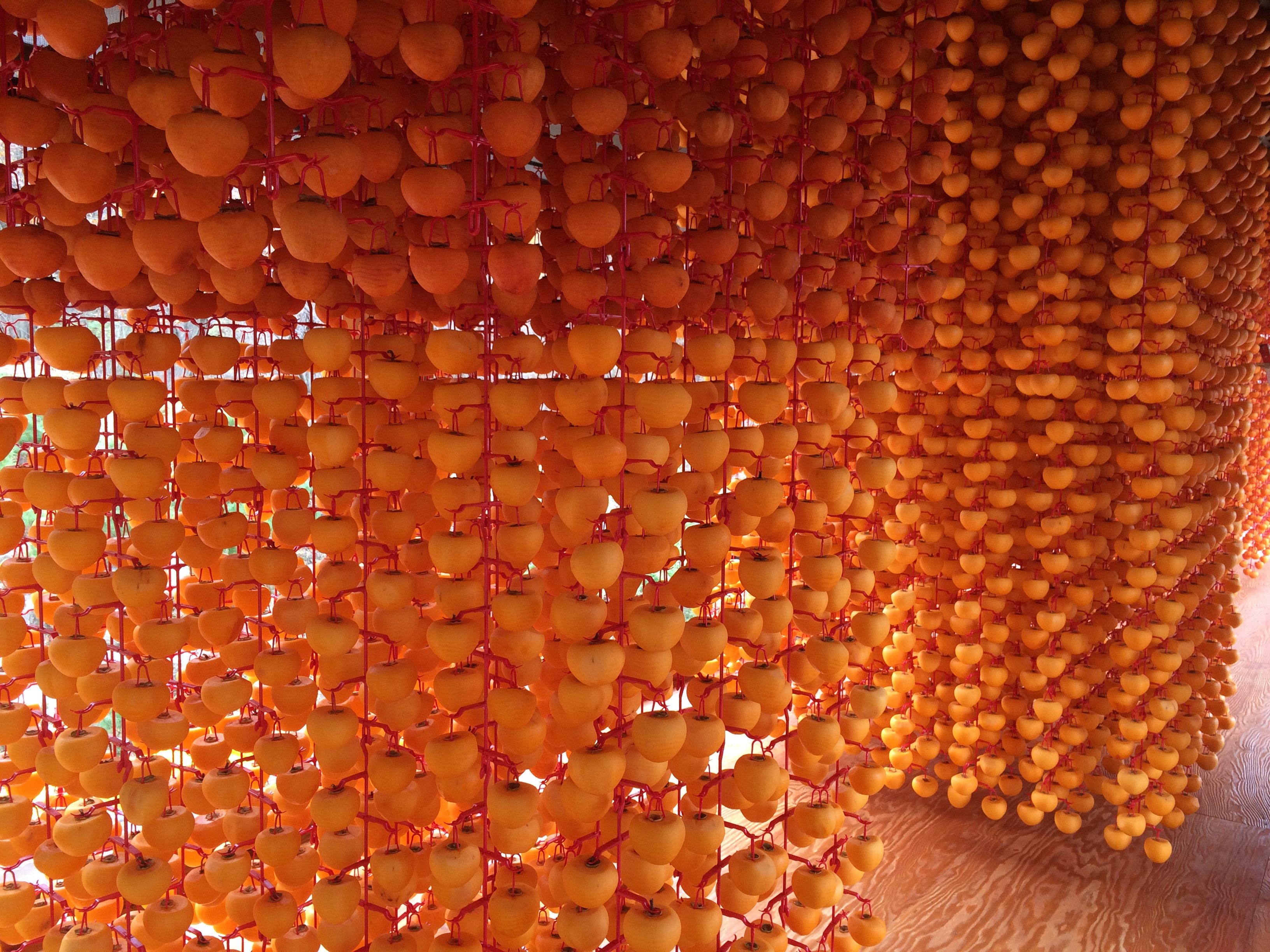 Korea Nurifarmer, The process of drying persimmons