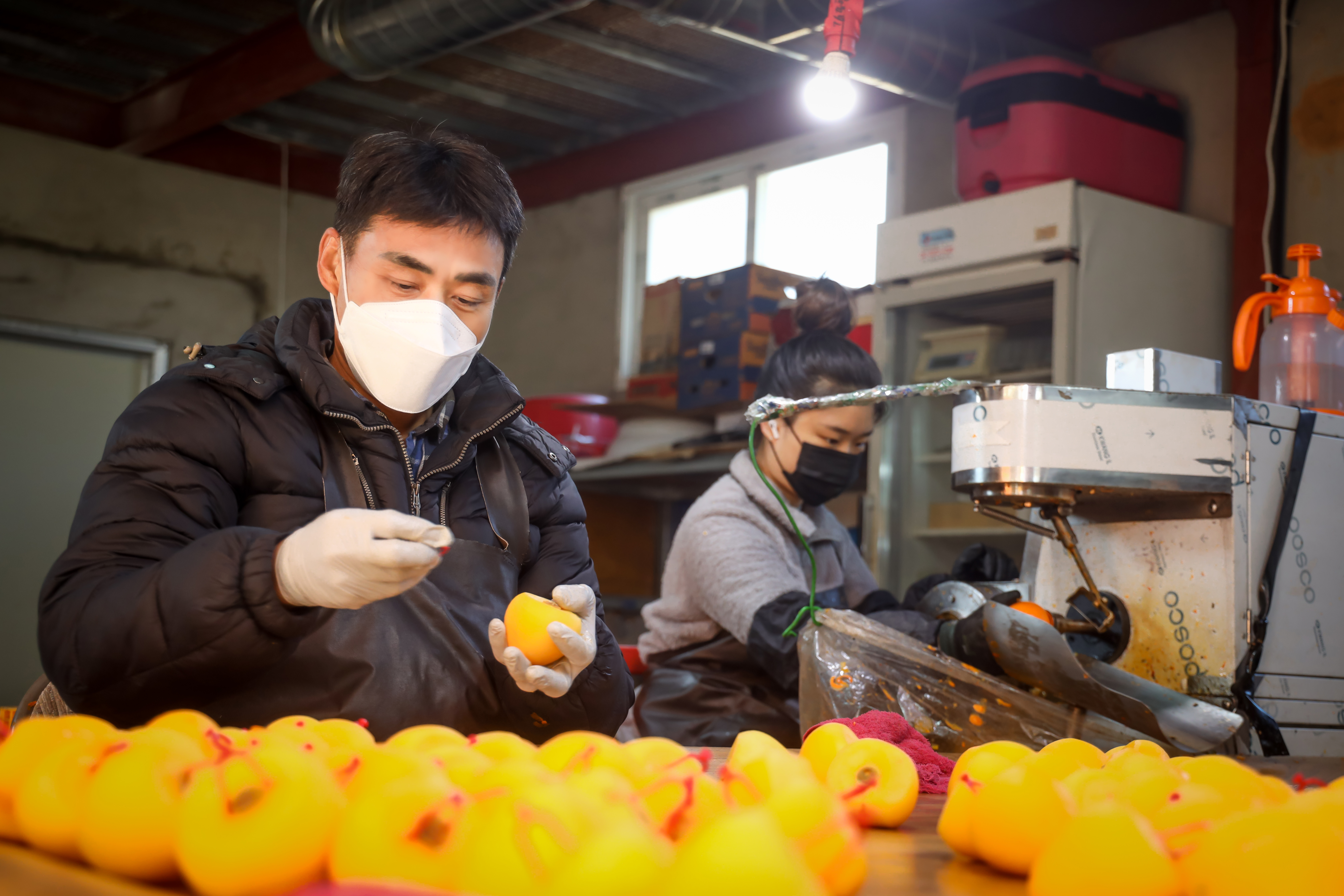 Nurifarmer: A Trusted Korean Dried Persimmon Producer Featured on National Television